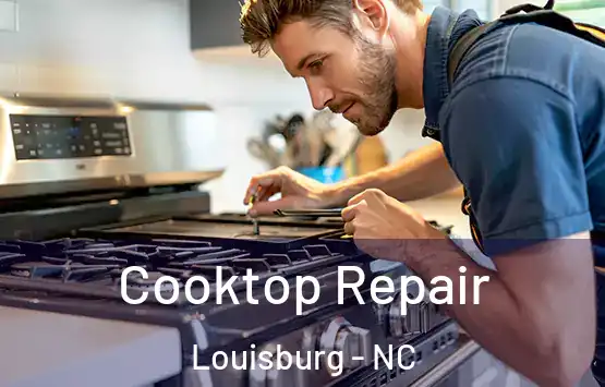  Cooktop Repair Louisburg - NC