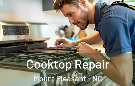  Cooktop Repair Mount Pleasant - NC