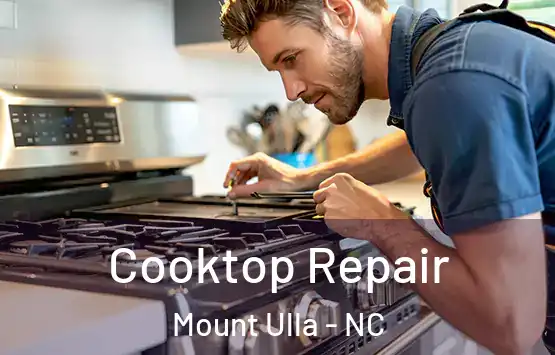  Cooktop Repair Mount Ulla - NC
