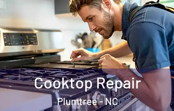  Cooktop Repair Plumtree - NC