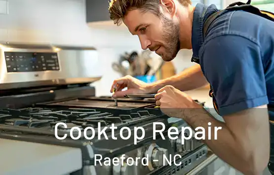  Cooktop Repair Raeford - NC
