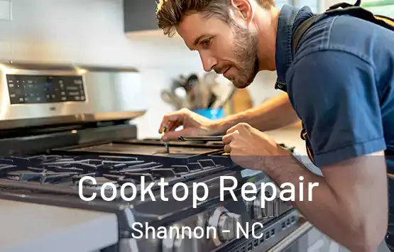  Cooktop Repair Shannon - NC