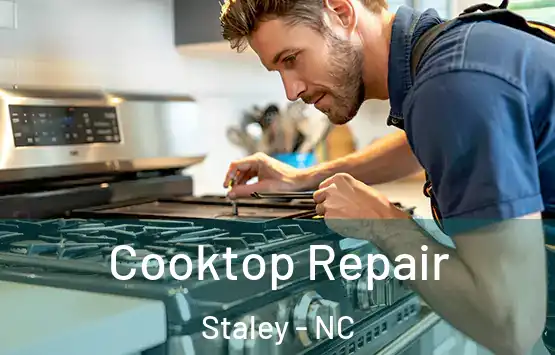  Cooktop Repair Staley - NC