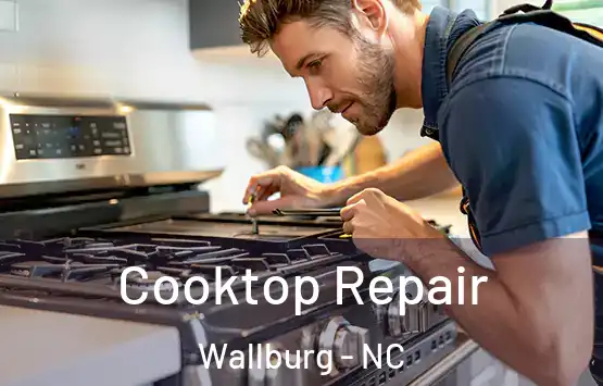  Cooktop Repair Wallburg - NC