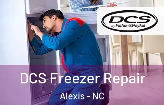  DCS Freezer Repair Alexis - NC