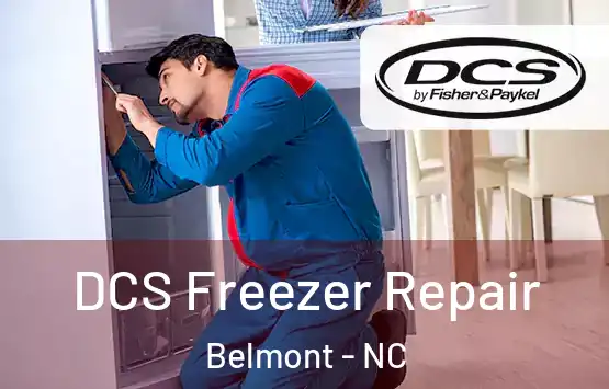  DCS Freezer Repair Belmont - NC