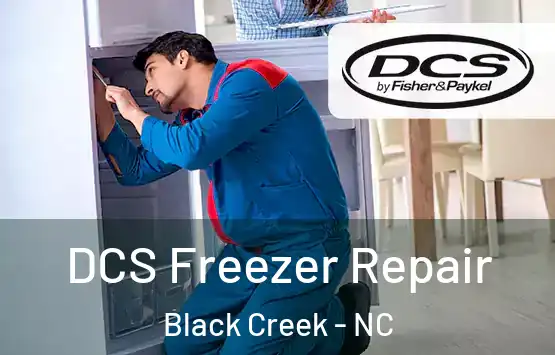  DCS Freezer Repair Black Creek - NC