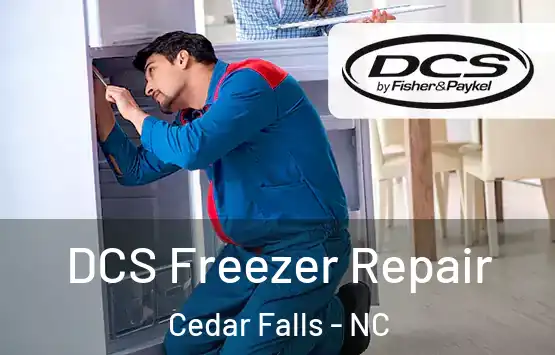  DCS Freezer Repair Cedar Falls - NC