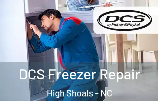  DCS Freezer Repair High Shoals - NC