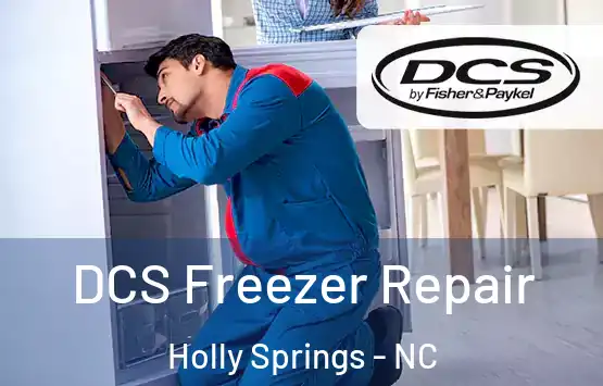  DCS Freezer Repair Holly Springs - NC