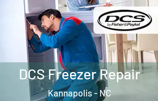  DCS Freezer Repair Kannapolis - NC