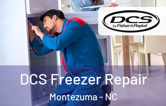  DCS Freezer Repair Montezuma - NC