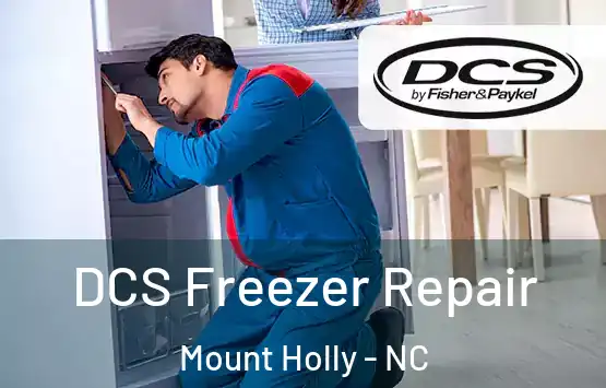  DCS Freezer Repair Mount Holly - NC