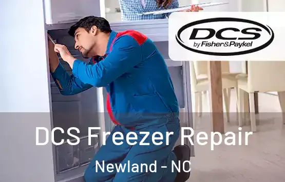  DCS Freezer Repair Newland - NC