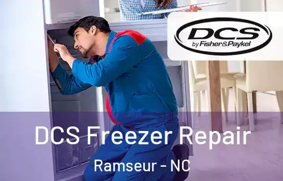  DCS Freezer Repair Ramseur - NC