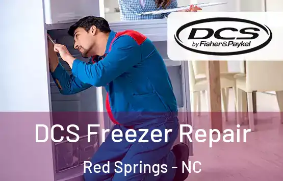  DCS Freezer Repair Red Springs - NC