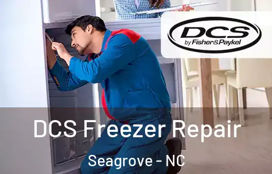  DCS Freezer Repair Seagrove - NC