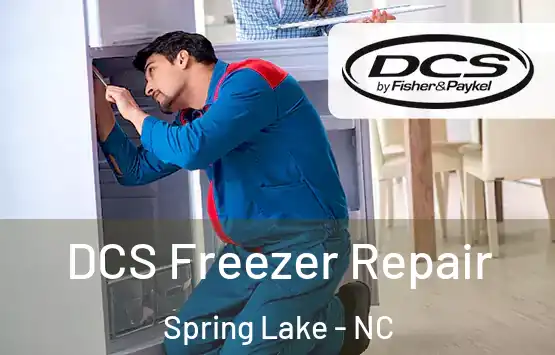  DCS Freezer Repair Spring Lake - NC
