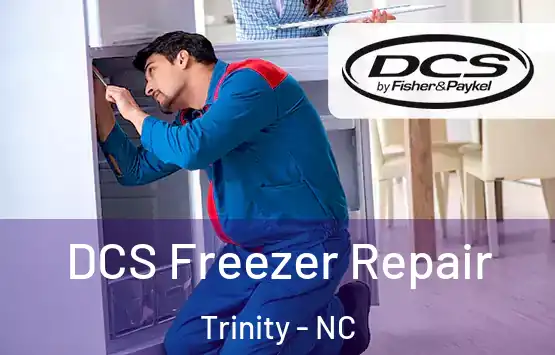  DCS Freezer Repair Trinity - NC