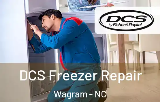  DCS Freezer Repair Wagram - NC