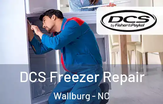  DCS Freezer Repair Wallburg - NC