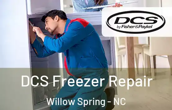  DCS Freezer Repair Willow Spring - NC