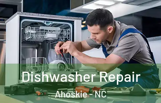  Dishwasher Repair Ahoskie - NC
