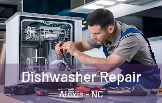  Dishwasher Repair Alexis - NC