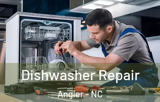  Dishwasher Repair Angier - NC