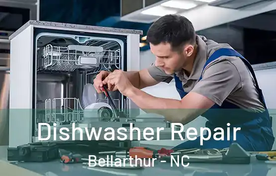  Dishwasher Repair Bellarthur - NC