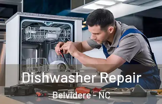  Dishwasher Repair Belvidere - NC