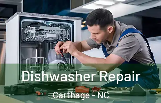  Dishwasher Repair Carthage - NC