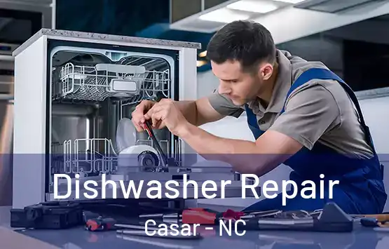  Dishwasher Repair Casar - NC