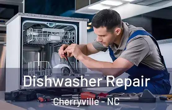  Dishwasher Repair Cherryville - NC