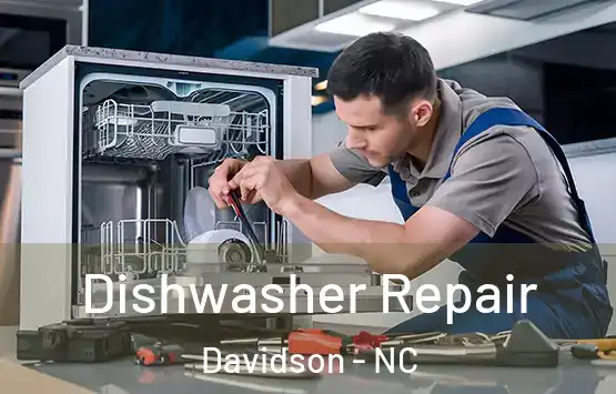  Dishwasher Repair Davidson - NC