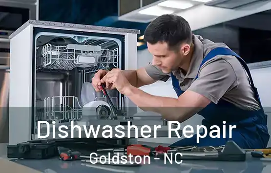  Dishwasher Repair Goldston - NC