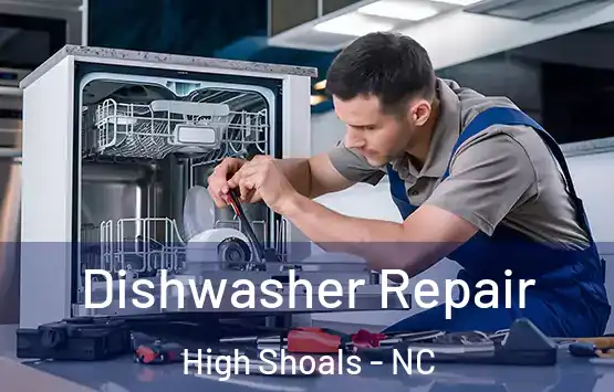  Dishwasher Repair High Shoals - NC
