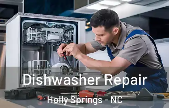  Dishwasher Repair Holly Springs - NC