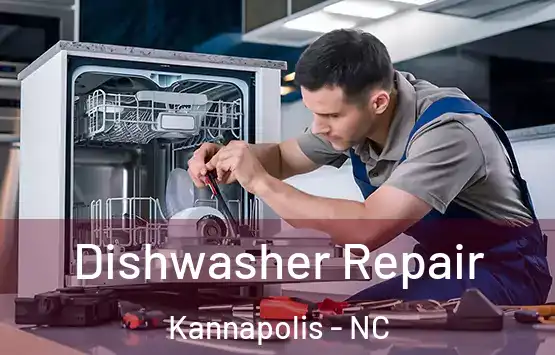 Dishwasher Repair Kannapolis - NC