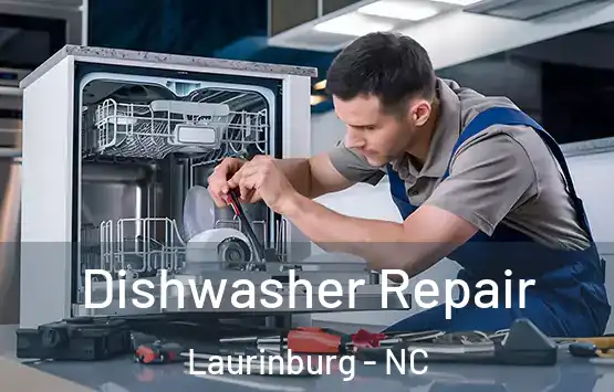  Dishwasher Repair Laurinburg - NC