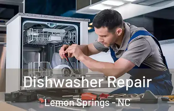  Dishwasher Repair Lemon Springs - NC