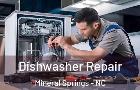  Dishwasher Repair Mineral Springs - NC