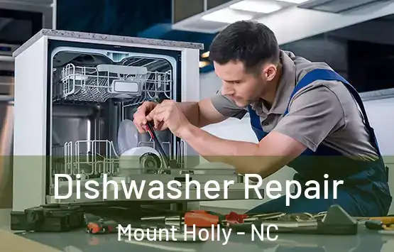  Dishwasher Repair Mount Holly - NC