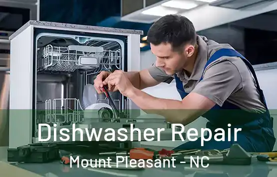 Dishwasher Repair Mount Pleasant - NC