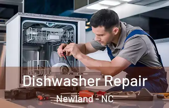  Dishwasher Repair Newland - NC