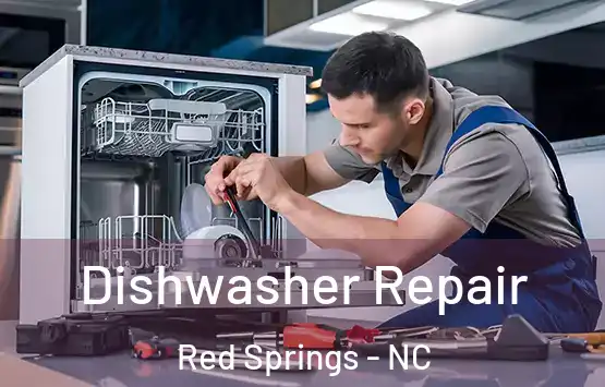  Dishwasher Repair Red Springs - NC