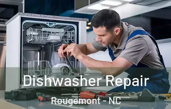 Dishwasher Repair Rougemont - NC
