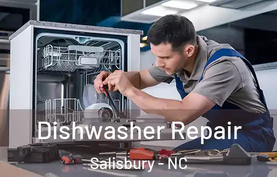  Dishwasher Repair Salisbury - NC