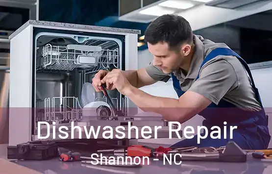  Dishwasher Repair Shannon - NC