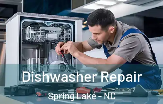  Dishwasher Repair Spring Lake - NC
